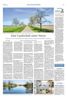 Zeitungsartikel
