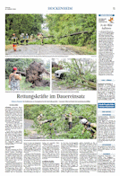 Zeitungsartikel
