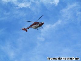 IMG_0070