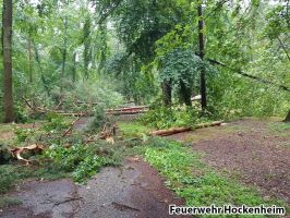 20170803_073133_Stadtwald