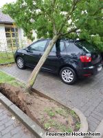 20170803_070749_Baum_auf_PKW