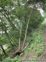 IMG_2599