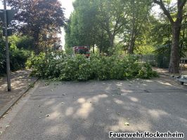 img_4571