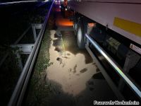 Bild_2