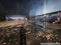 Bild_4