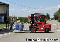 Reilingen_2
